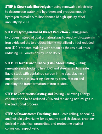 5 Step Development Plan for Stegra