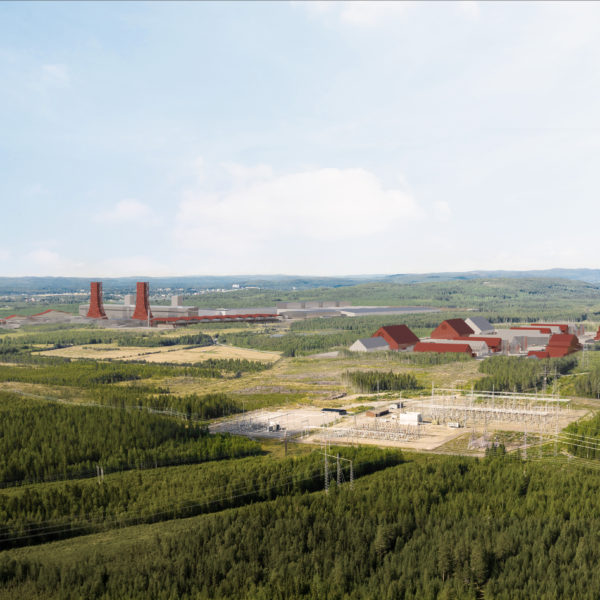 Boden Plant Vision 1