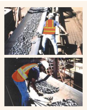 FIGURE 1. Surveyors collecting increments using “stopped belt sampling”