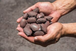 Vale and Midrex to Cooperate for Use of Iron Ore Briquettes in Direct Reduction Plants 1 Iron Ore Briquettes